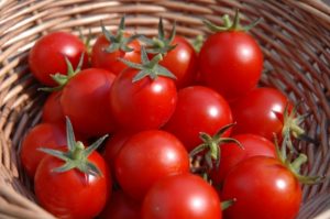 Những thực phẩm sau đây nếu bảo quản trong tủ lạnh không chỉ mất đi mùi vị mà còn nguy cơ biến chất, gây ảnh hưởng tới sức khỏe.
Cà chua

Cà chua chín tốt cho sức khỏe, nhưng cà chua xanh thì ngược lại. Khi cho cà chua vào trong tủ lạnh sẽ đồng nghĩa với việc ngăn cản cà chua chín tiếp, hương vị tươi ngon của cà chua chín sẽ ngừng phát triển.

Trong các loại rau củ, cà chua là loại thực phẩm bạn không nên bảo quản trong tủ lạnh. Tương tự như cà chua, những loại quả có nhiều nước nên hạn chế cho vào tủ lạnh. Những loại quả này nếu để lạnh thời gian dài sẽ xuất hiện các chấm đen, mềm nát và thay đổi hẳn mùi vị của nó. Cất giữ cà chua trong tủ lạnh chỉ làm nó dần dần héo đi và không còn tươi ngon. Tốt nhất bạn nên để cà chua ở nơi mát và dùng trong ngày.