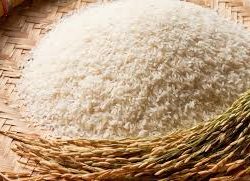 Chọn gạo ngon và sạch